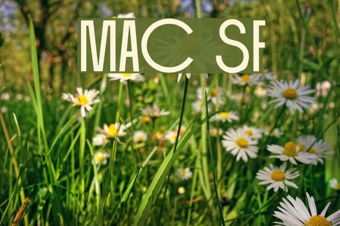 Mackintosh SF Font examples