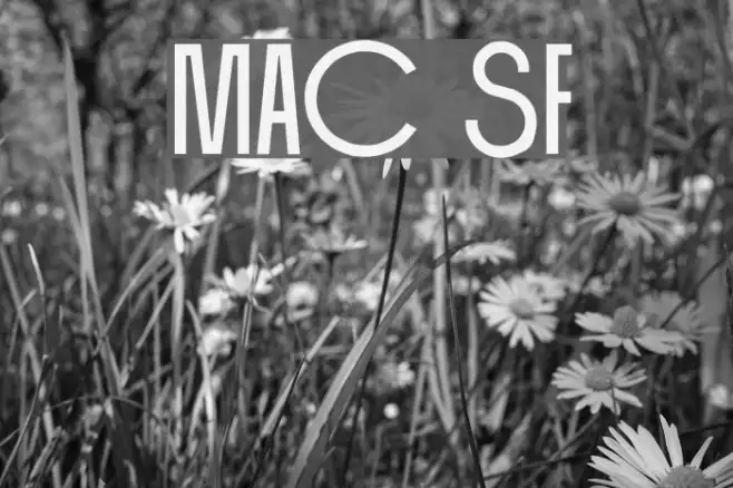 Mackintosh SF Example 2