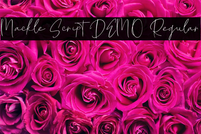 Mackle Script DEMO Regular Example 1