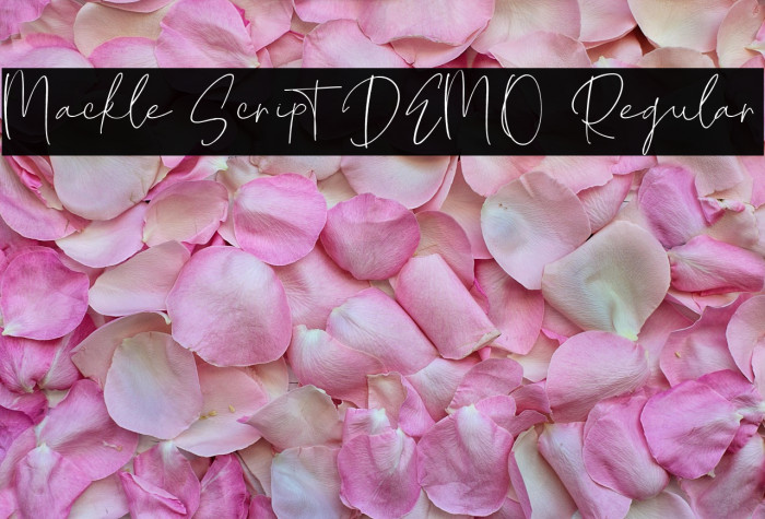 Mackle Script DEMO Regular Example 2