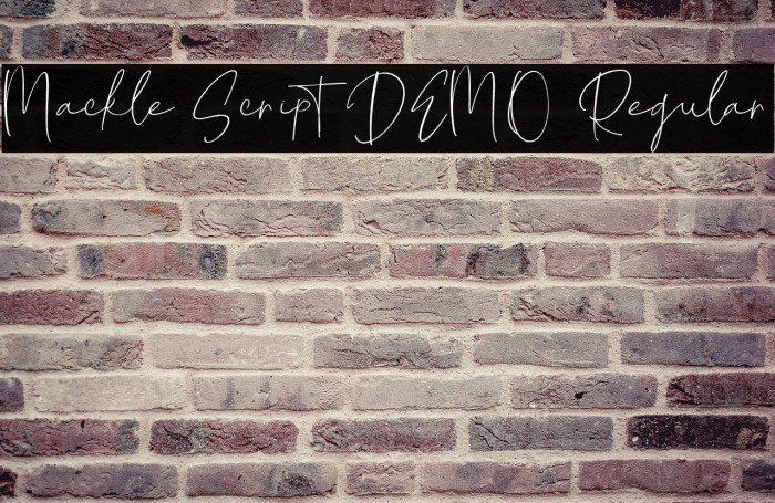 Mackle Script DEMO Regular Example 3