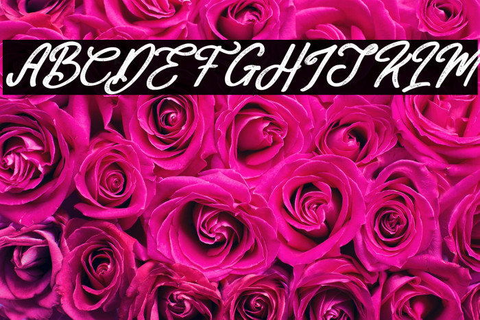 Mackline Italic Example 2