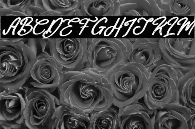 Mackline Italic Font examples