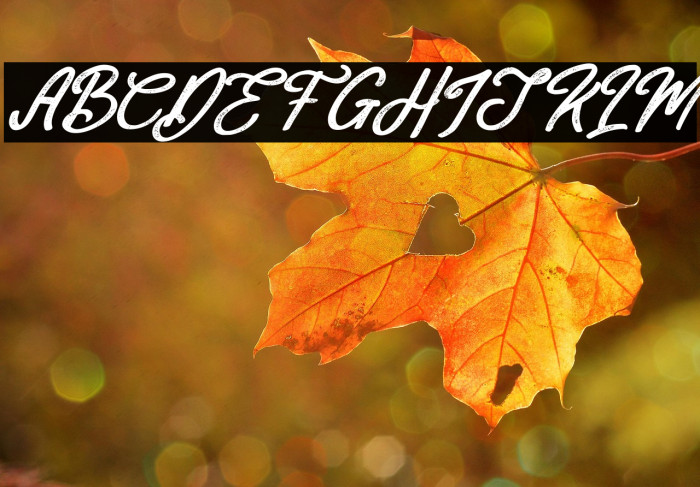 Mackline Italic Example 3