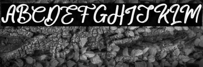 Mackline Font examples