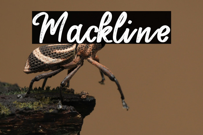 Mackline Example 3