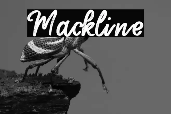 Mackline Font examples