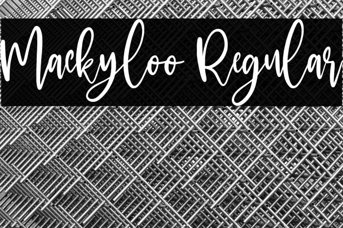 Mackyloo Regular Example 1