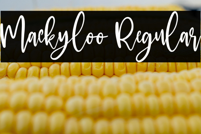 Mackyloo Regular Example 3