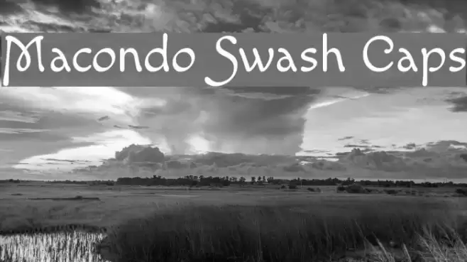 Macondo Swash Caps Font examples