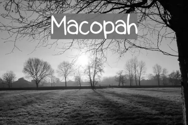 Macopah Example 1