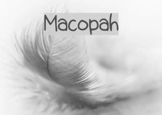 Macopah Example 3