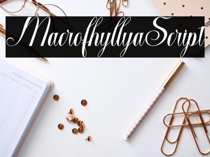 MacrofhyllyaScript Example 1