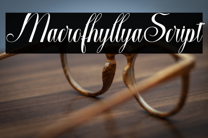 MacrofhyllyaScript Example 2