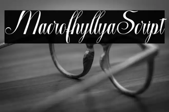 MacrofhyllyaScript Font examples