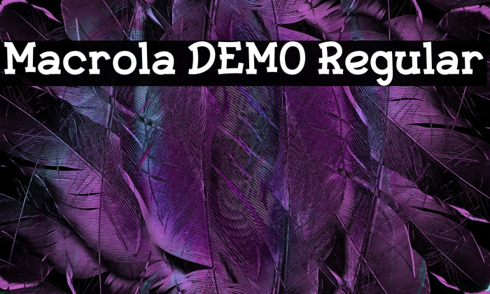 Macrola DEMO Regular Example 1