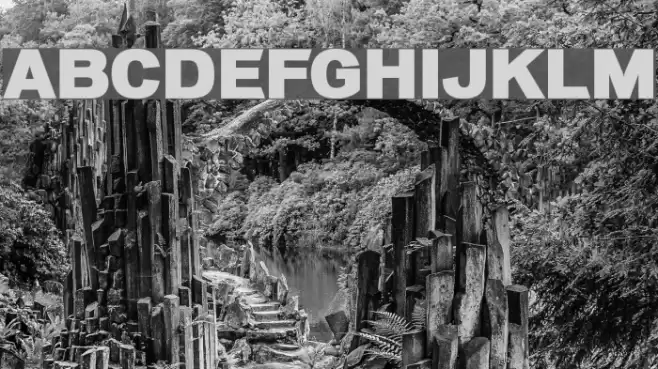 Macromedia Font examples