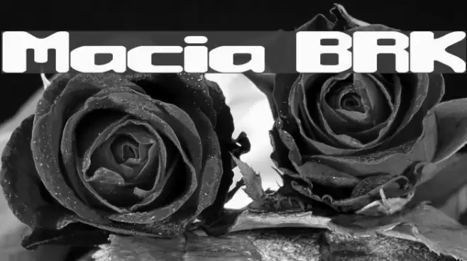 Macropsia BRK Шрифта examples