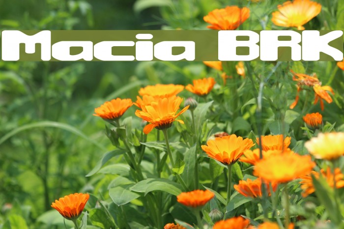 Macropsia BRK Font examples