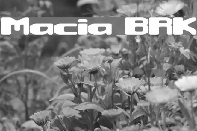Macropsia BRK Шрифта examples