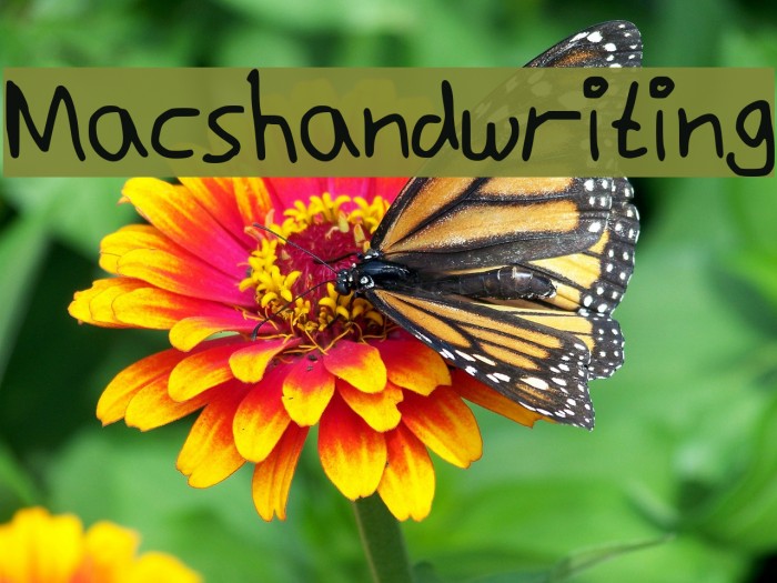 Macshandwriting Font examples