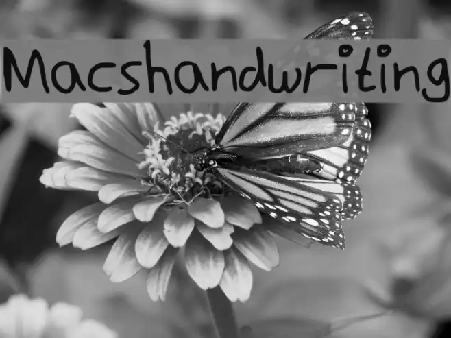 Macshandwriting Example 3