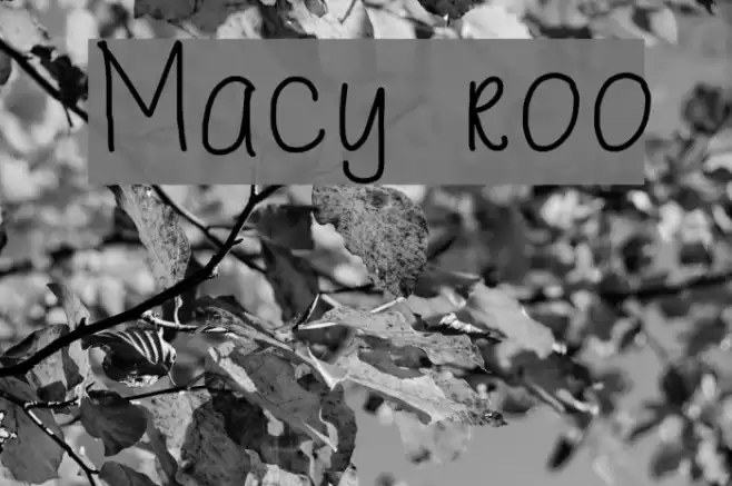 Macy roo Font examples
