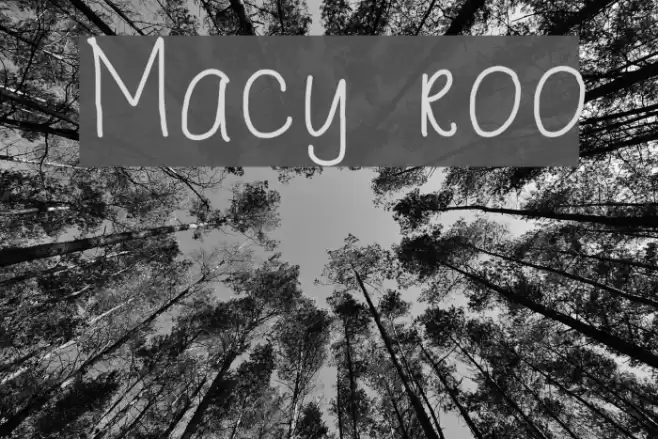 Macy roo Font examples