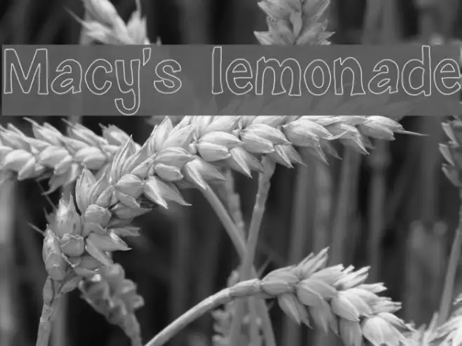 Macy's lemonade Example 2
