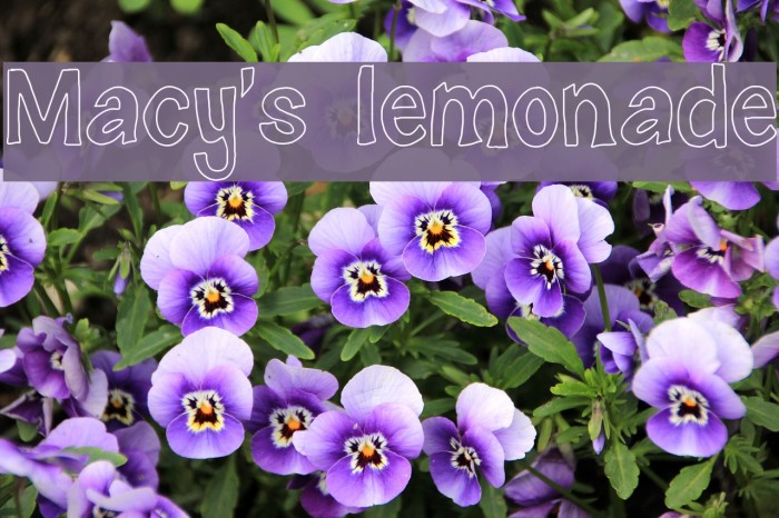 Macy's lemonade Font examples