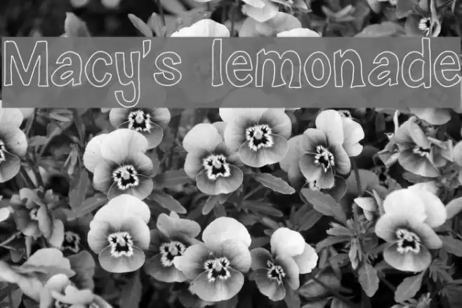 Macy's lemonade Example 3
