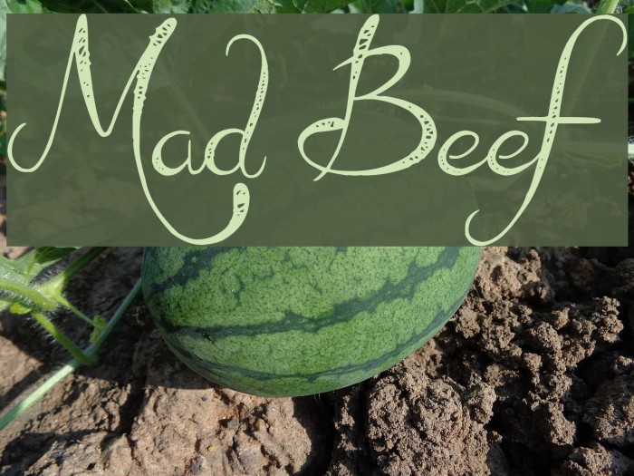 Mad Beef Font examples