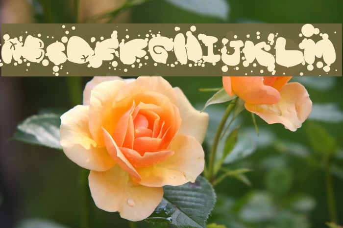Mad Bubbles Font examples