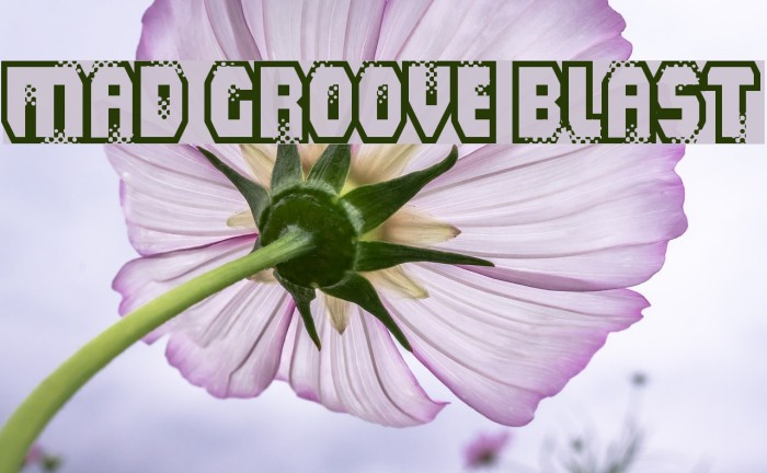 Mad Groove Blast Example 3