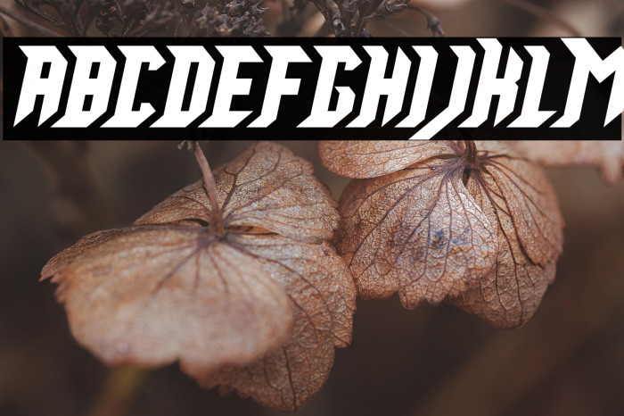 Mad King Games Example 3