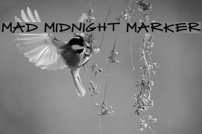 Mad Midnight Marker Font examples