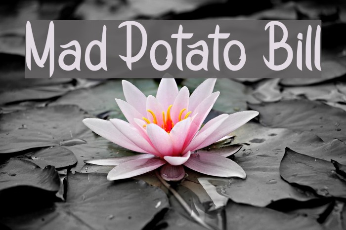 Mad Potato Bill Font examples