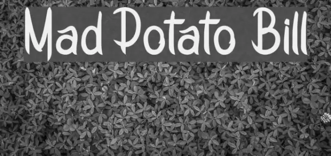 Mad Potato Bill Font examples