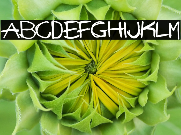 Mad Stick Brush Example 1