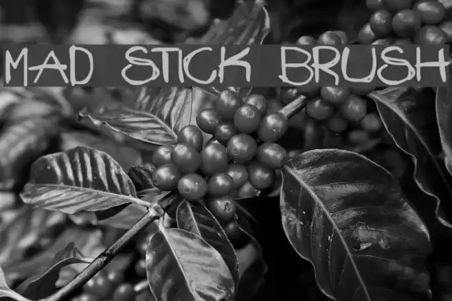Mad Stick Brush Font examples