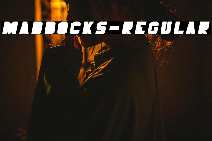 MadDocks-Regular Example 2