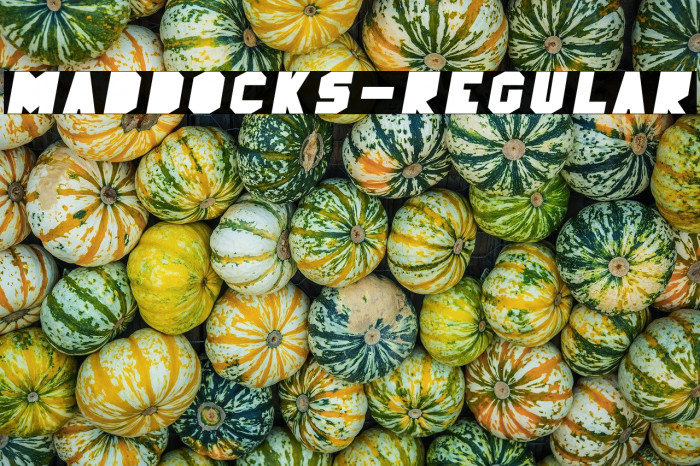 MadDocks-Regular Example 3