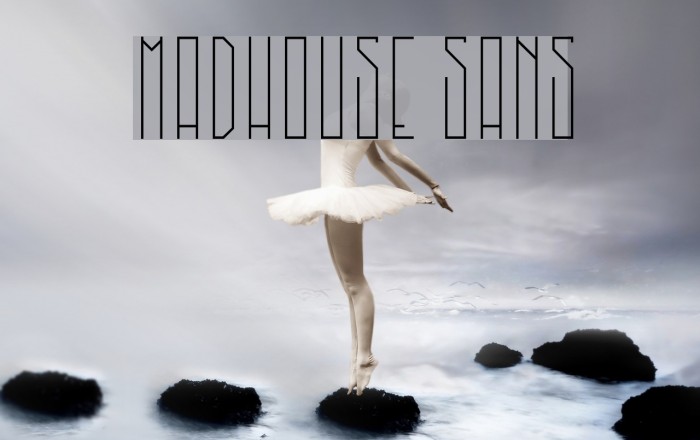MadHouse Sans Font examples