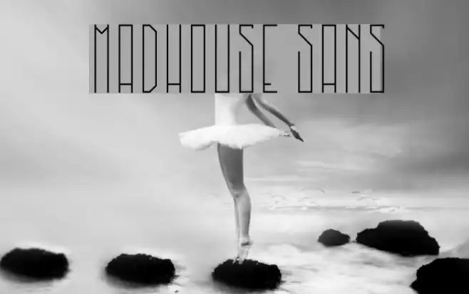 MadHouse Sans Example 2