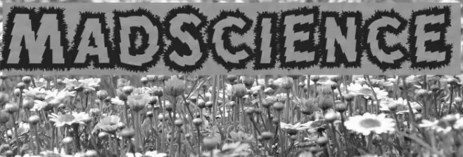 MadScience Fuentes examples