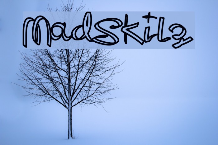 MadSkilz Font examples