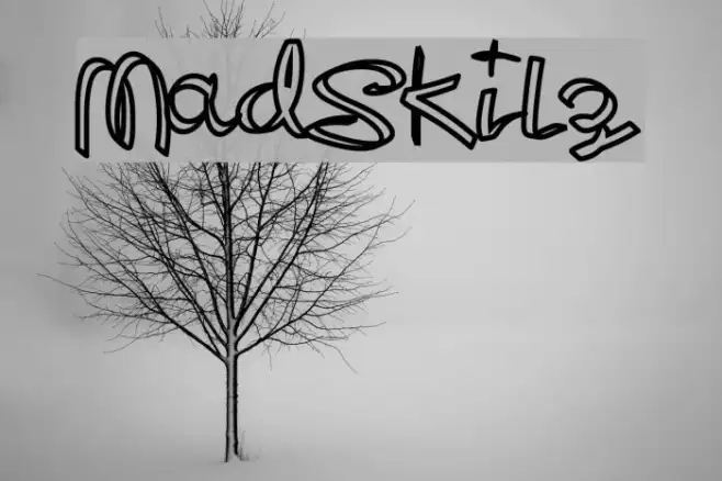 MadSkilz Example 2