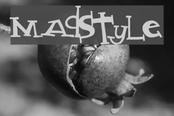 MadStyle Font examples