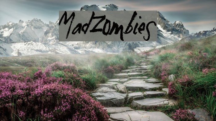 MadZombies Font examples