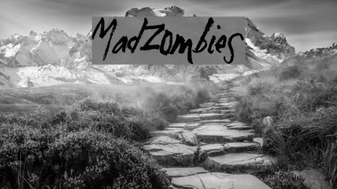MadZombies Example 1
